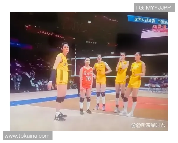 上海排球队在排球个人能力排行榜中荣登第七名展现强大实力与潜力