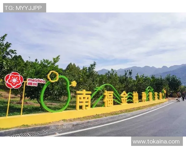 高清手机壁纸足球明星精选让你随时随地感受足球魅力与激情