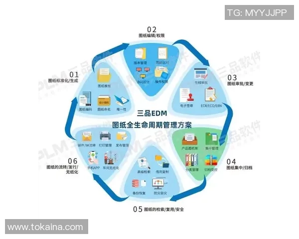 广州极限运动队团队协作表现的数据分析与优化策略探讨