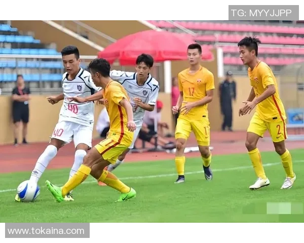 海口嘉德足球队奋勇拼搏助力海南足球崛起新篇章