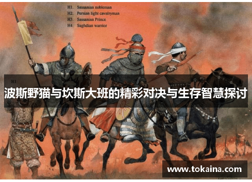 波斯野猫与坎斯大班的精彩对决与生存智慧探讨